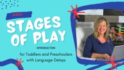 Register For This Course #465 Introduction to Stages of Play for Toddlers and Preschoolers with Language Delays